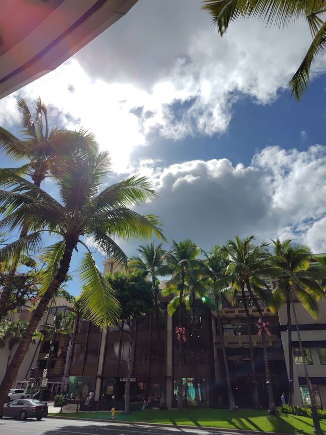 久しぶりにワイキキのど真ん中<br />キティーちゃんのおかげで！