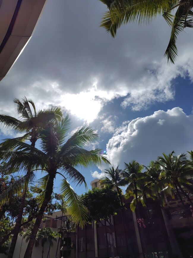 う～ん、ようやくハワイを感じられてきた