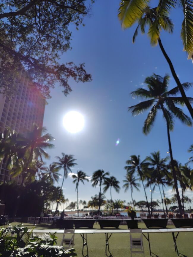 ヒルトンの中庭<br />今日はルアウショー再開かな！？