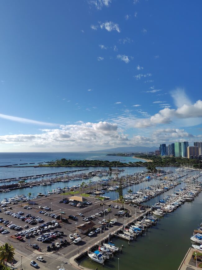 海側もこの通り