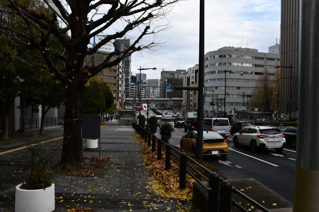銀杏の葉が散り残っています