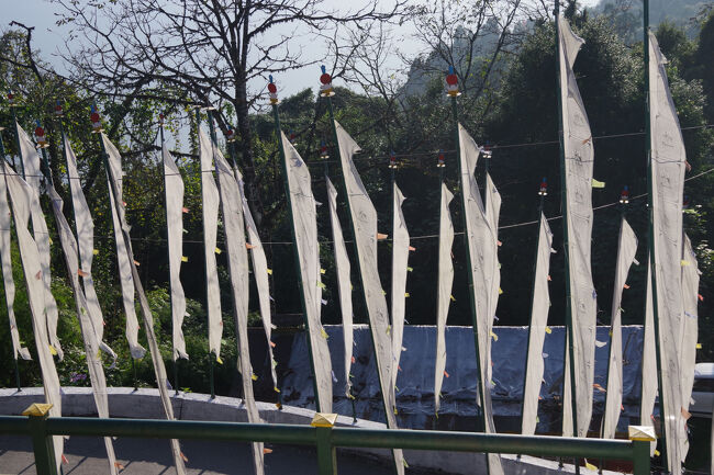 仏画と経文が書かれた白いダルシンが、日に透けて綺麗です。