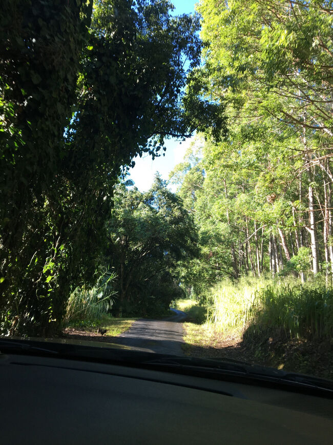 どんどん不安になる景色