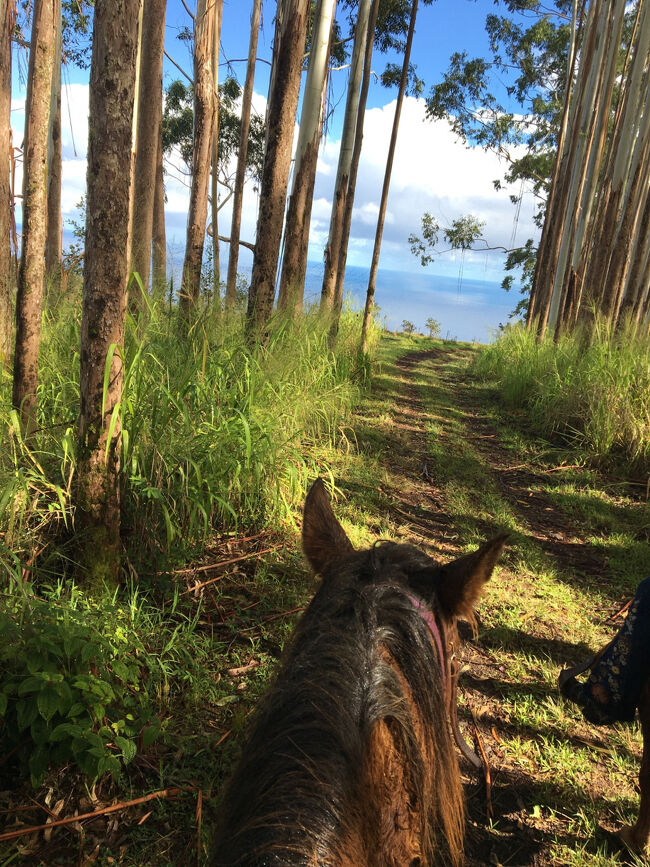 海が見えてきました