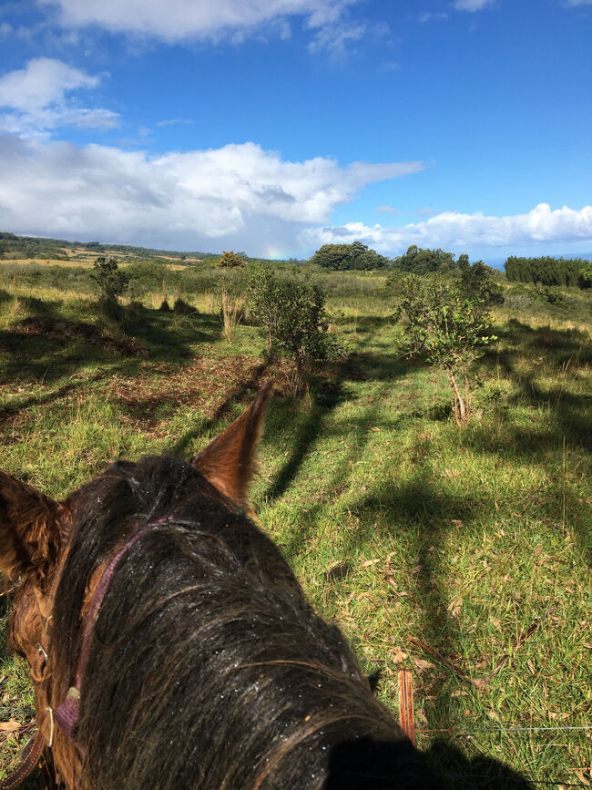 遠くに虹が見えます