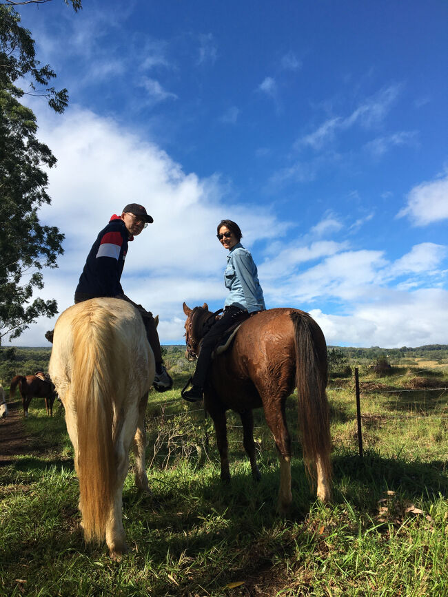 色々な角度から撮影