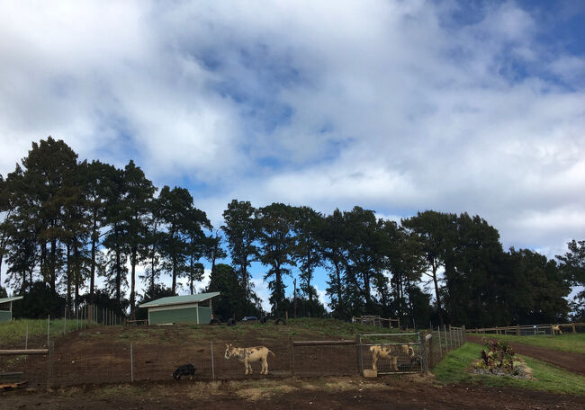 パリナナ・ファームズ