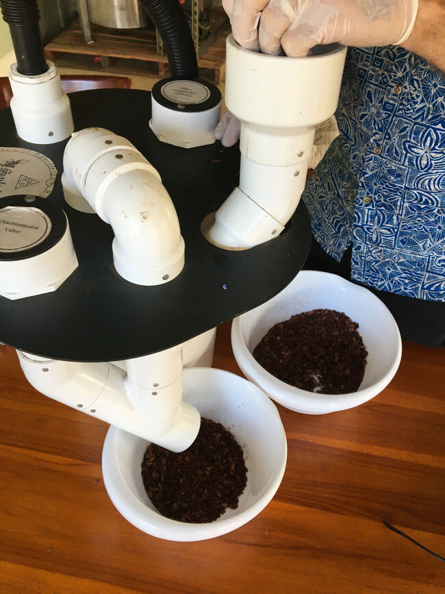 実と皮を分離します