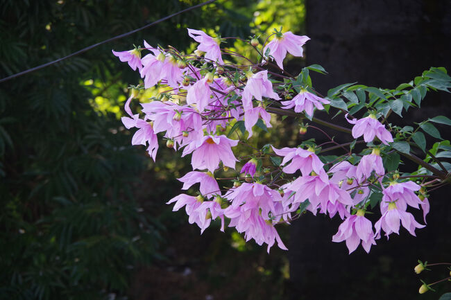 なんとも贅沢な気分です。<br />