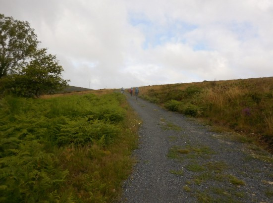 １５　As Sixasからメリデ　メリデと言えばプルポ<br />　　　　今日の宿はAlbergue de peregurinos de Meride公営です<br />　　　　公営アルベルゲがあるならいつでも公営の一択です。安いから<br /><br />6/30(月)　６月も今日で終わり、明日からは７月です。って小泉の若様みたいなこと言ってますね。帰るのが8/7なので、まもなく私の巡礼も残り１ヶ月を切ります。ホッとしそうですがいつもと違ってあれこれ困ったことだらけなので気が重いです。何とか良い材料を見つけたいと思ってます。<br />下馬評どおり、巡礼路がなだらかな丘程度になってきています。もうこの先、急な上り下りはないでしょう。８年前にプリミティボを歩いた時は若かったので、何だ坂こんな坂でしたが、今年はなだらかな道がありがたいです。