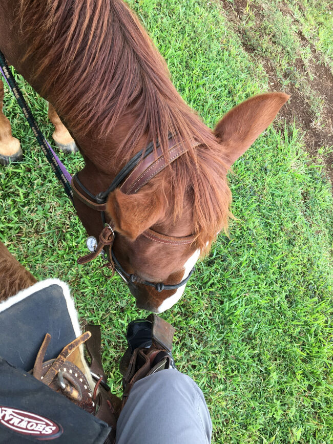 農園に到着後、挨拶をしたら早速騎乗します