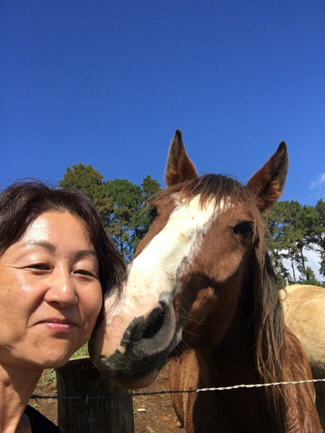 綺麗にお手入れされたベガちゃん。<br />スリスリしてくれて本当に可愛い！