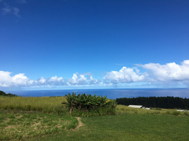 知り合いのお宅のお庭。