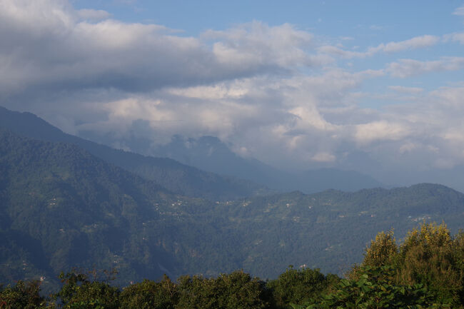 今は雲が多くて見られませんが、滞在中に見られるかな？<br />