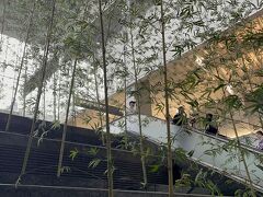 14:30 台北駅到着

どこか台北駅近くで
ランチしようかと思ったけれど
何しろ台北駅は構造が複雑で
どこにも辿り着ける気がしないので‥

諦めてホテルへ向かいます

エスカレーターを1つ上がって‥