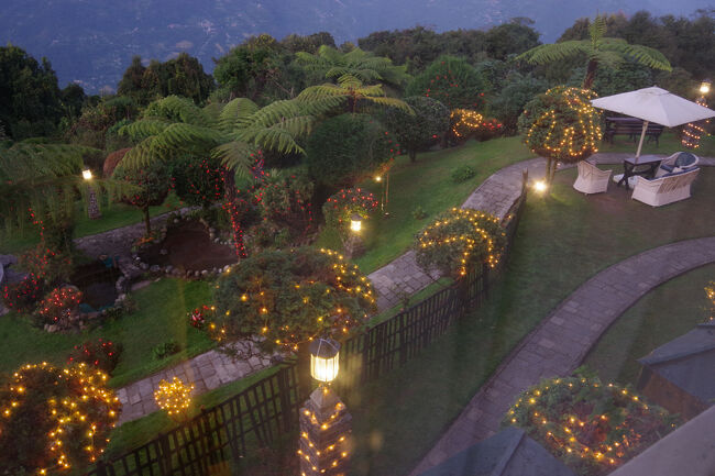 日が傾くと、庭に照明が点きました。<br />