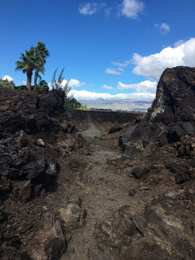 キングス・トレイル