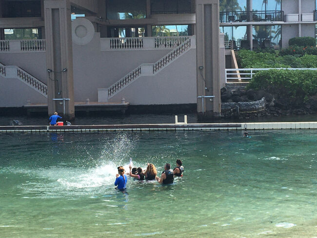 ドルフィン・クエストを楽しむ人たちを見て楽しむ私。