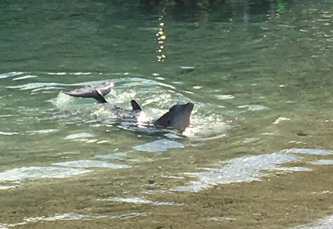 ポージングの練習中