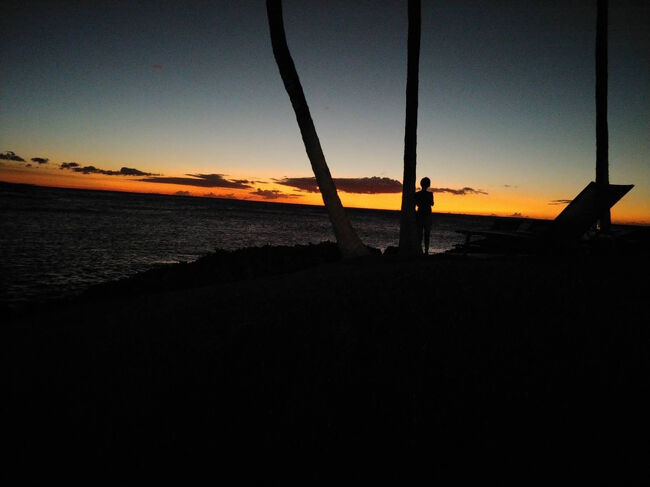 撮影に没頭する私