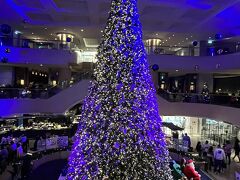 ホテルのロビーのツリー

青く光って幻想的でした

サンタさんがグリーティングしてました