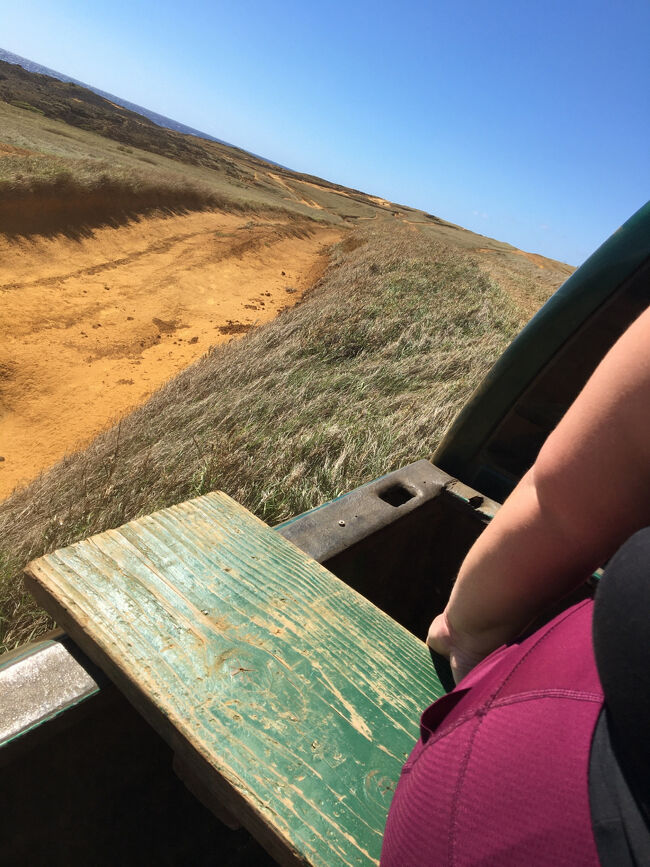 トラックの荷台に板を渡しただけの状態で乗り込みます。