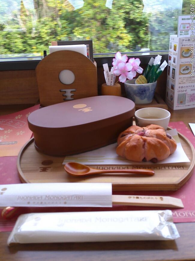 料理が運ばれてきました