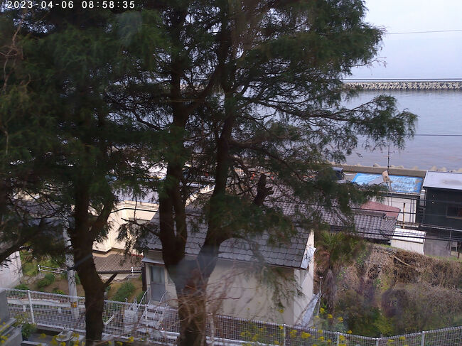 幸運にも海側を向いた座席でした