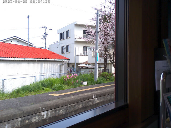 通り過ぎる駅には桜が咲いていました