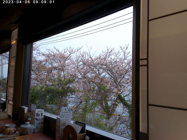 海側を向いて座る1号車1番A席でした。