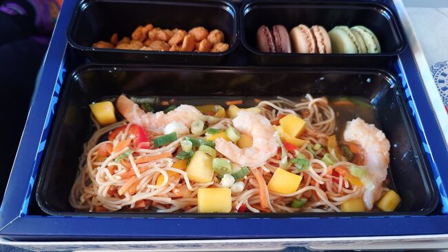 アジアンヌードル。この航空会社、機内食の改善が必要だと思います。<br /><br />到着したら1泊します。