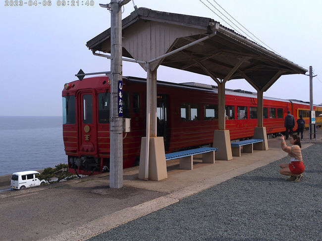 海との間に道路はあります。