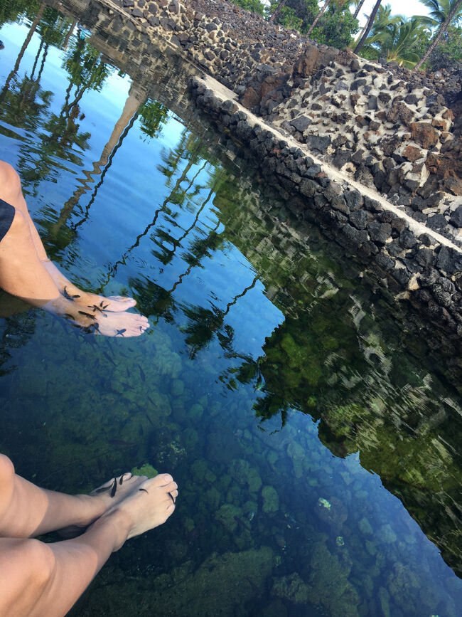 ドクターフィッシュの池でリフレッシュ