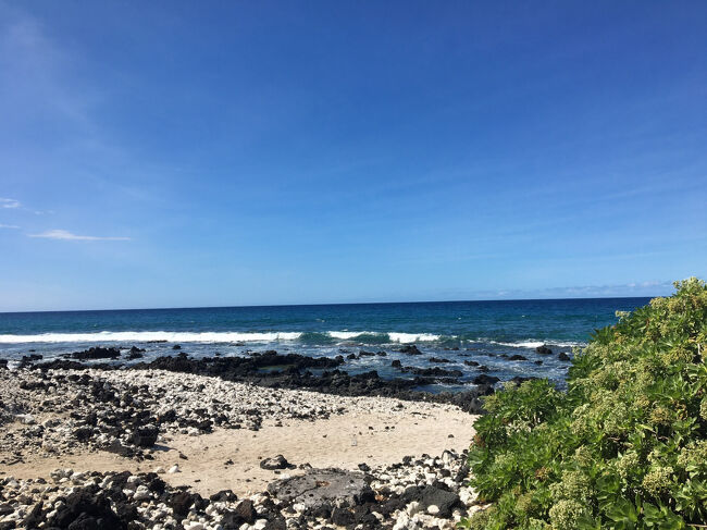 人が少なくて、ホヌに会えるビーチなのでお気に入り