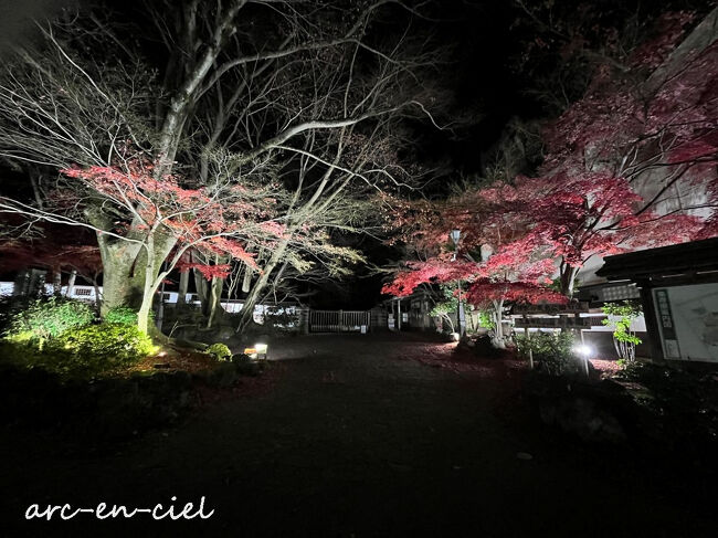 日がとっぷりと暮れた頃、ライトアップされた楽寿園を通り過ぎ、