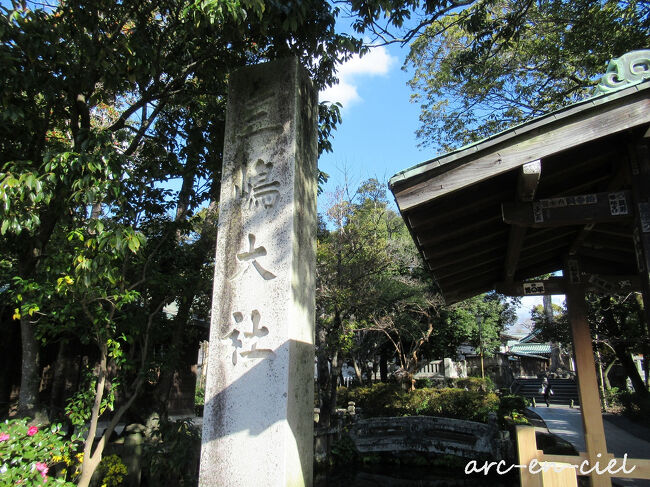 いつもはこちらの東門から入るのですが、