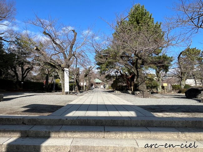 今回は正面の鳥居をくぐって。