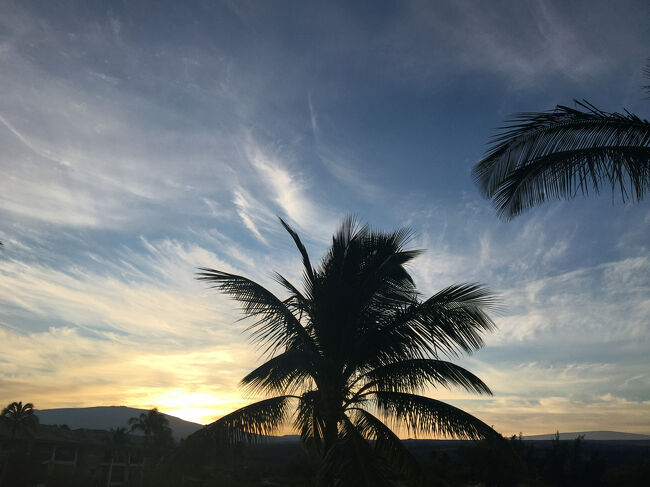 今朝のサンライズ