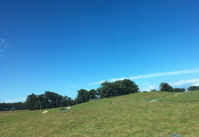 ワイメアの農場エリア