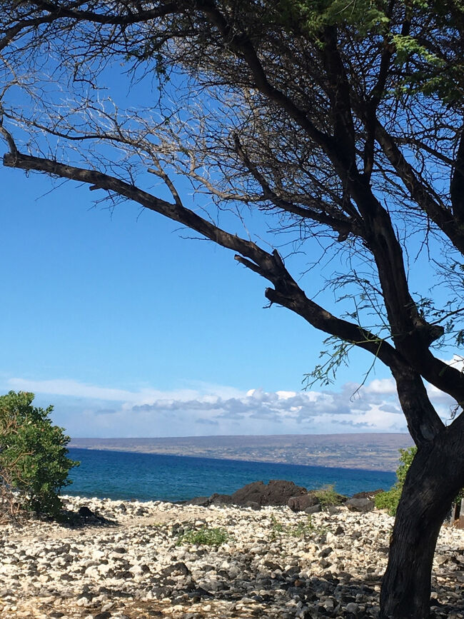 ホロホロカイ・ビーチ・パークで日光浴