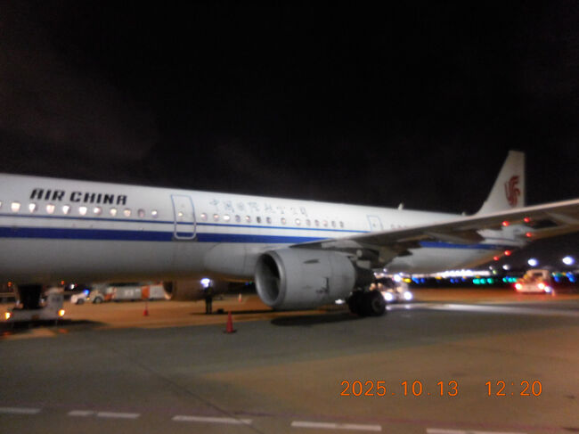 フライト時間は約3時間半、日本時間で夜の9時半頃に無事に羽田空港に到着。<br />沖留めだったので、下車後はバスで移動。