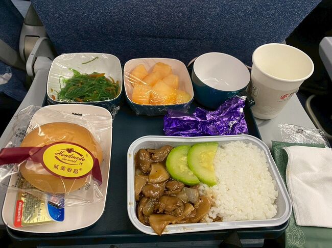 機内食は1回のみ提供されました。味は不味くもなく美味くも無く。