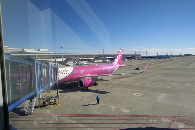 ２度目のピーチ航空<br />半年前に乗って気に入ったので、リピ