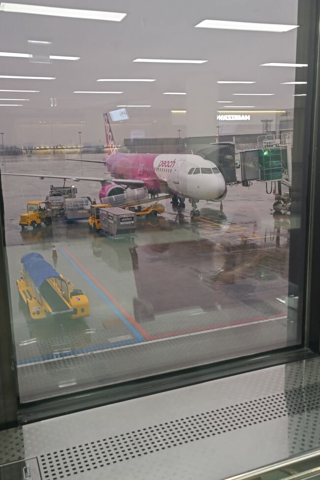 お疲れさまでしたー