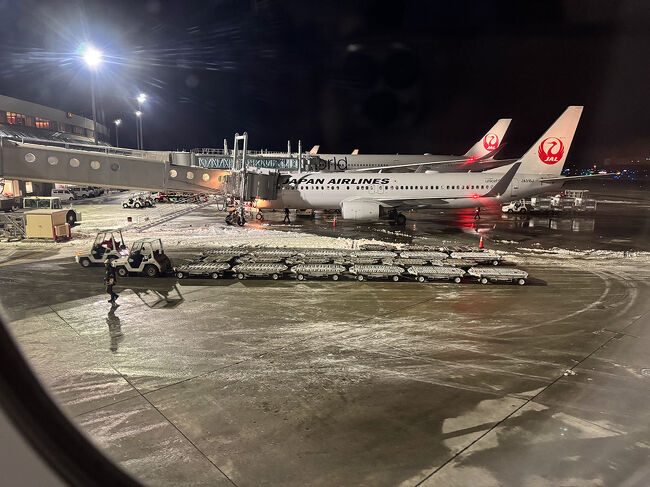 1時間遅れて新千歳空港到着。<br /><br /><br /><br />JL529<br />羽田20：34発→新千歳22：19着<br />（定刻19：45発→21：20着）<br /><br /><br />遅れはしましたがJRも動いているし<br />まだ札幌まで移動できる時間帯なのがせめてもの救い。<br />前日の同じ便は到着が0時過ぎになり<br />公共交通機関が終了していたとのこと。