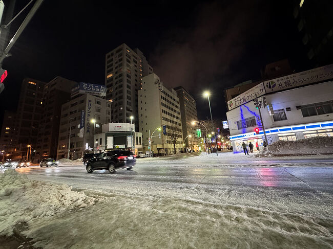 ツルツルーーー！<br />滑って怖い！！！<br />とにかく滑る。<br />スケートリンクを歩いているよう。<br /><br />滑らないように気をつけて歩くのが大変で<br />ホテルすぐ近くなのに遠く感じました。