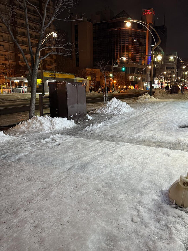 夕飯へ出かけようと外に出たら<br />昼間よりも更にツルツル。<br />どんなに気を付けても歩いても滑る。<br />1歩を踏み出すのが怖い。<br /><br />調べていたお店は歩いて5分くらい。<br />タクシーに乗るほどの距離でもなくて…<br />慎重に歩いて無事にたどり着いたとしても<br />帰りは酔っ払って滑って転ぶ未来しか見えない笑<br /><br />そんなリスクを背負って歩きたくないよぉ。