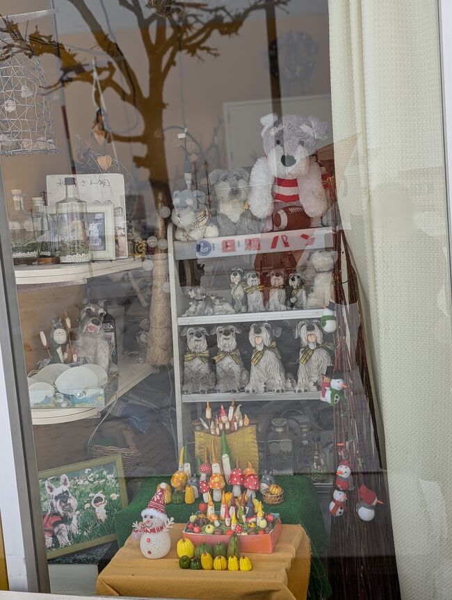 ミニチュアシュナウザーが好きなのでしょうか