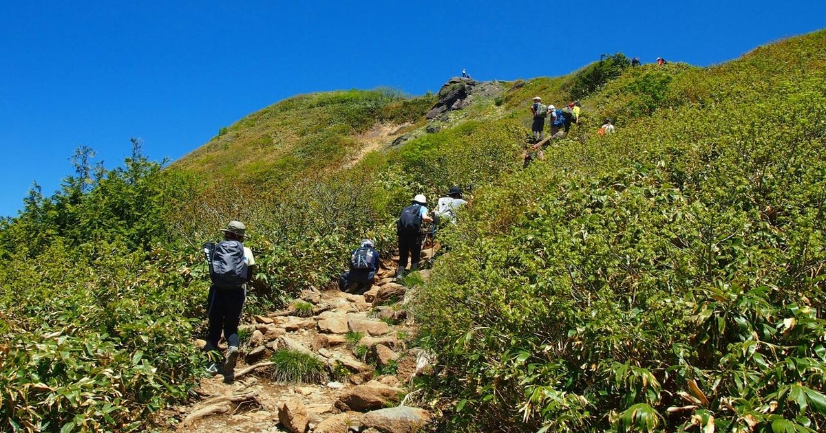 ハイグレ－ド・ハイキング 東京周辺 初版 ハイグレ－ド・ハイキング