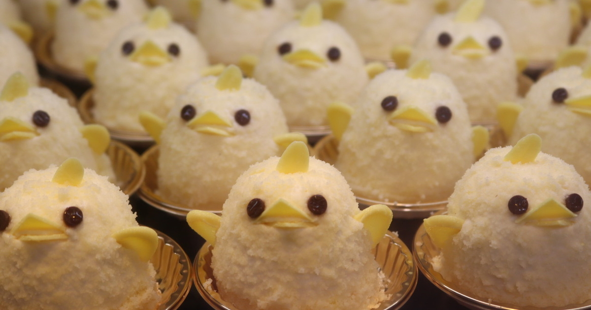 ヒヨコ 600羽 ふわふわ鮮度抜群! へらせ ヒヨコ 600羽 ふわふわ鮮度抜群! へらせ